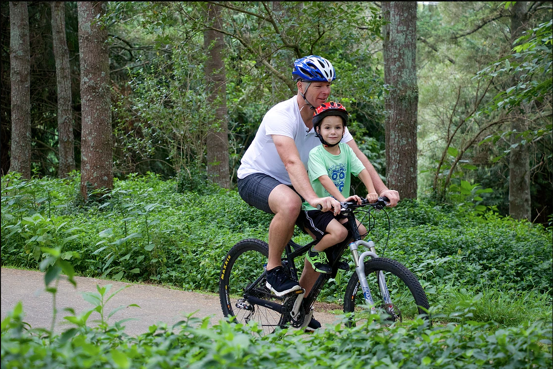 dolittle bike seat